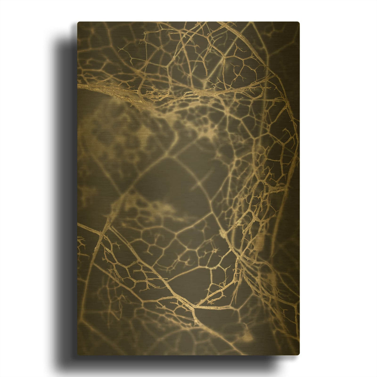 'Leaf Skeleton Dark' By Design Fabrikken Gold Metal Wall Art
