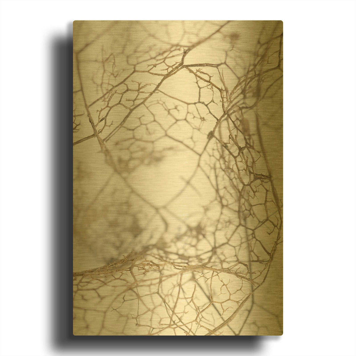 'Leaf Skeleton' By Design Fabrikken Gold Metal Wall Art