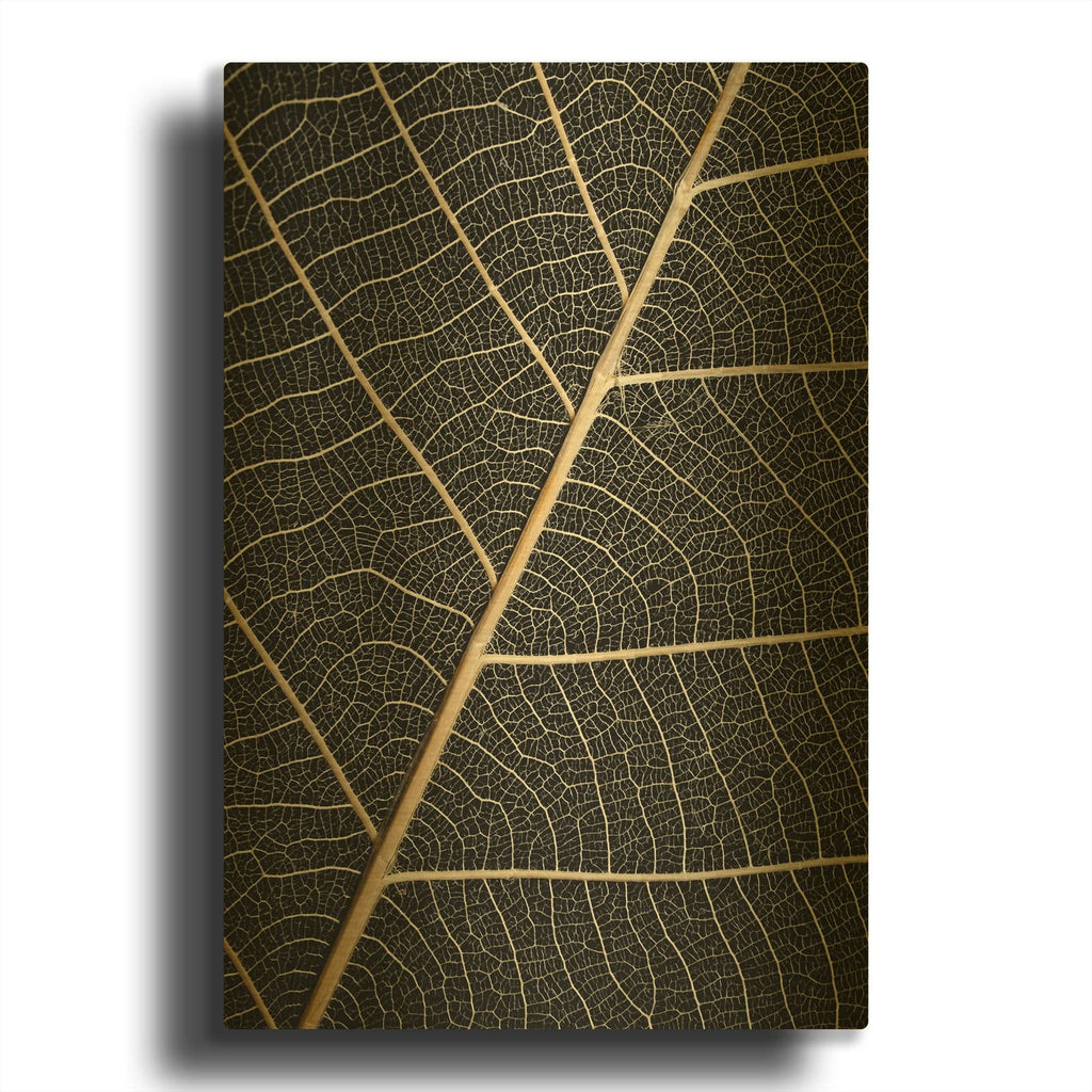 'Leaf Veins' By Design Fabrikken Gold Metal Wall Art