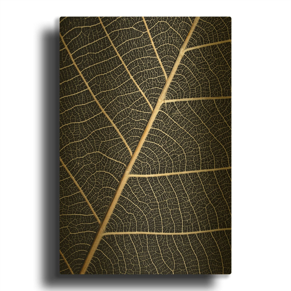 'Leaf Veins' By Design Fabrikken Gold Metal Wall Art