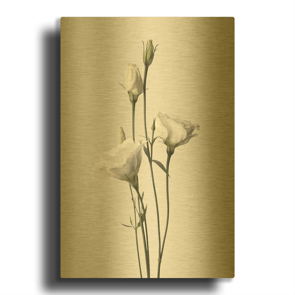 'Lisianthus White' By Design Fabrikken Gold Metal Wall Art