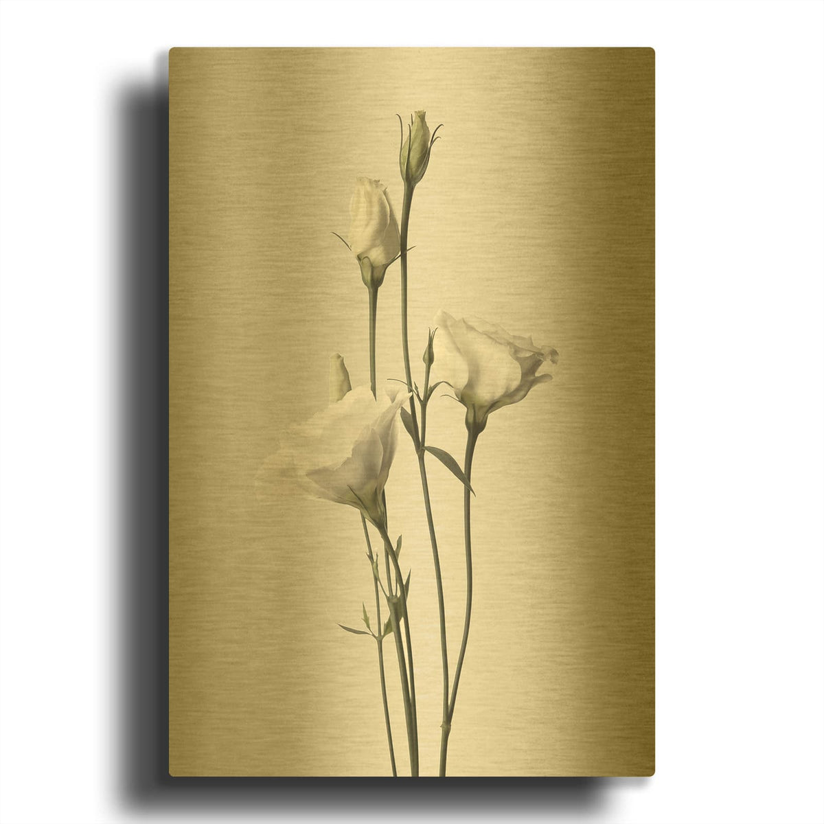 'Lisianthus White' By Design Fabrikken Gold Metal Wall Art