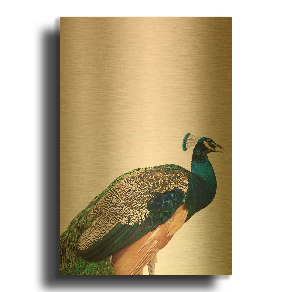 'Peacock on Pink' By Design Fabrikken Gold Metal Wall Art