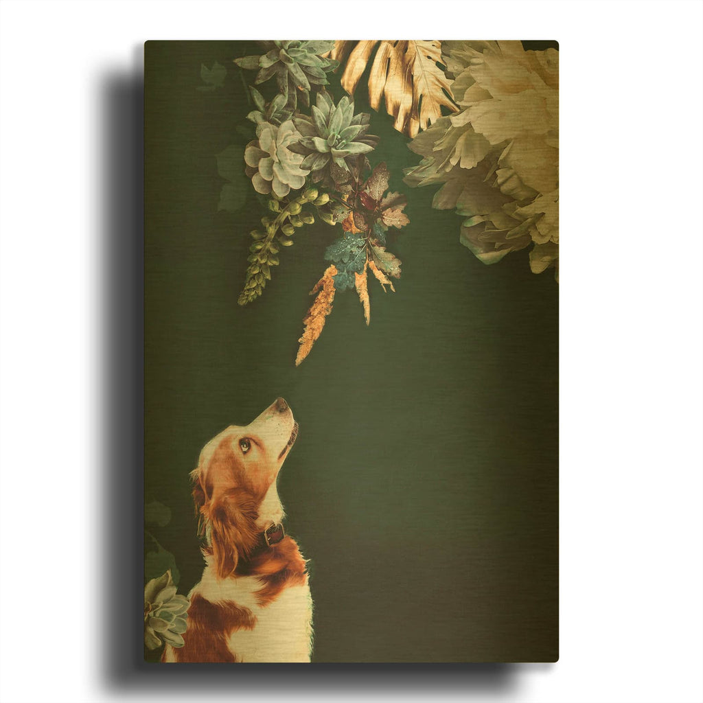 'Pet Couture 1' By Design Fabrikken Gold Metal Wall Art
