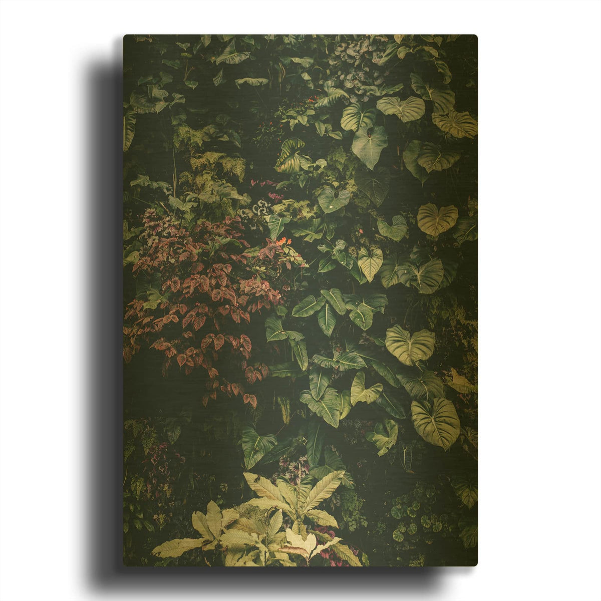 'Plant Wall' By Design Fabrikken Gold Metal Wall Art