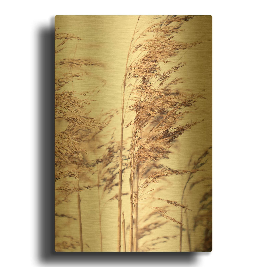 'Reed 1' By Design Fabrikken Gold Metal Wall Art