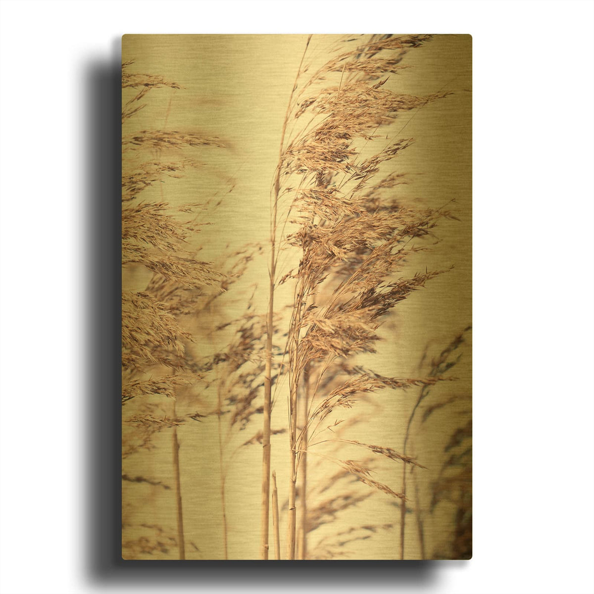 'Reed 1' By Design Fabrikken Gold Metal Wall Art