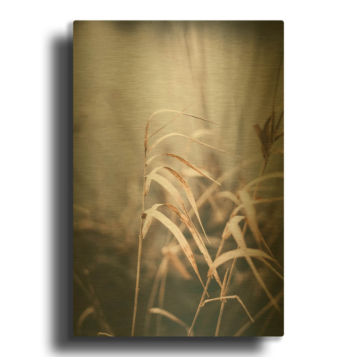 'Reed 2' By Design Fabrikken Gold Metal Wall Art