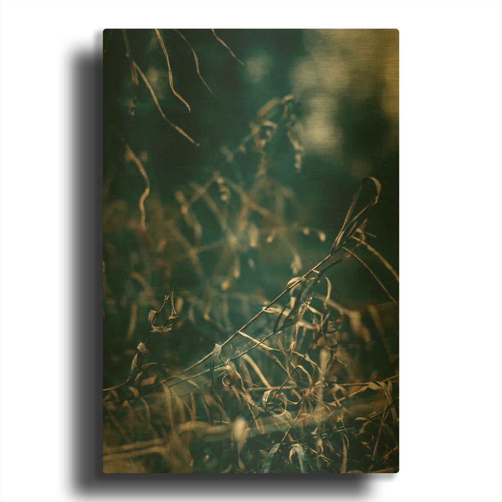 'Secret 1' By Design Fabrikken Gold Metal Wall Art