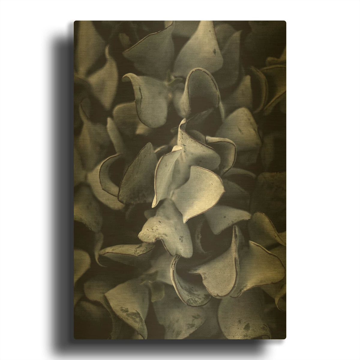 'Secret 10' By Design Fabrikken Gold Metal Wall Art