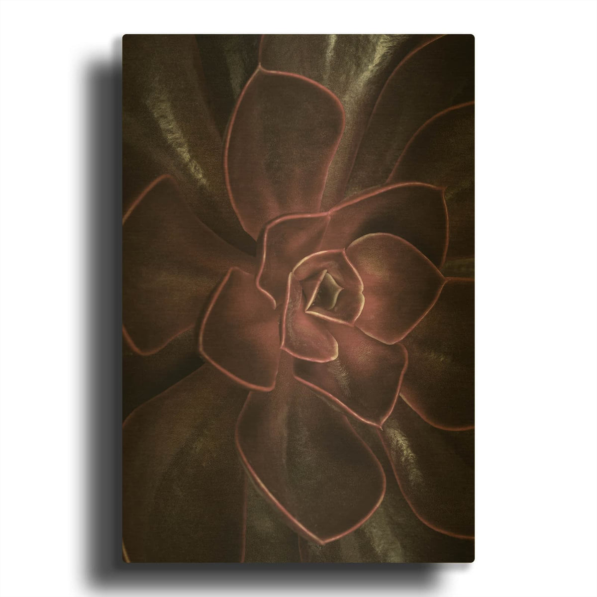 'Secret 16' By Design Fabrikken Gold Metal Wall Art