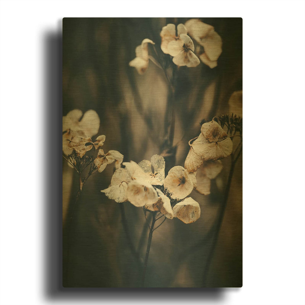 'Secret 4' By Design Fabrikken Gold Metal Wall Art