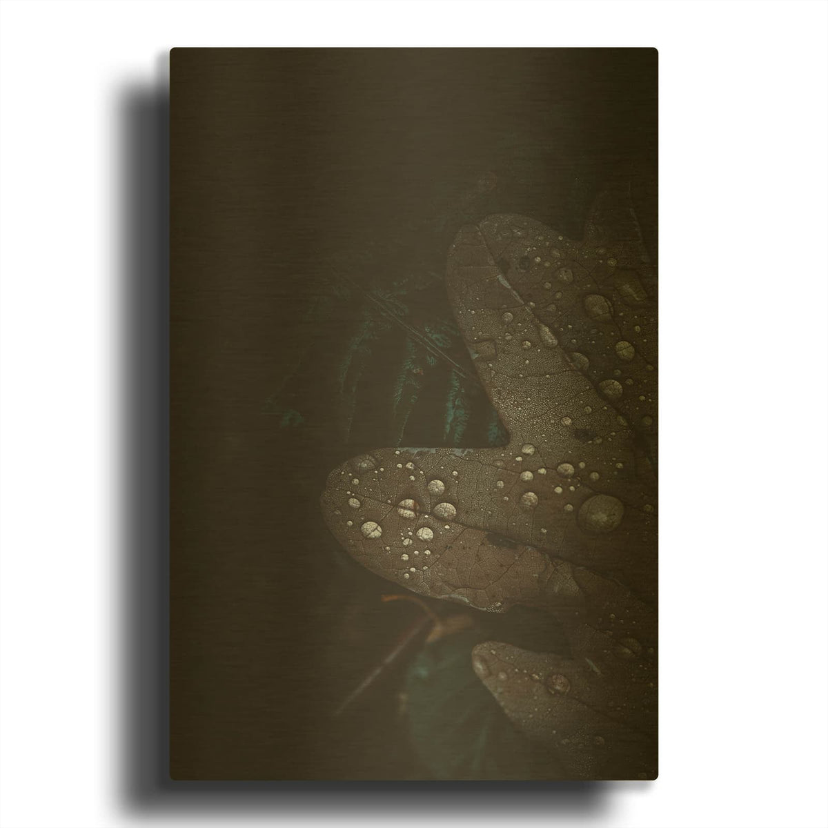 'Secret 5' By Design Fabrikken Gold Metal Wall Art