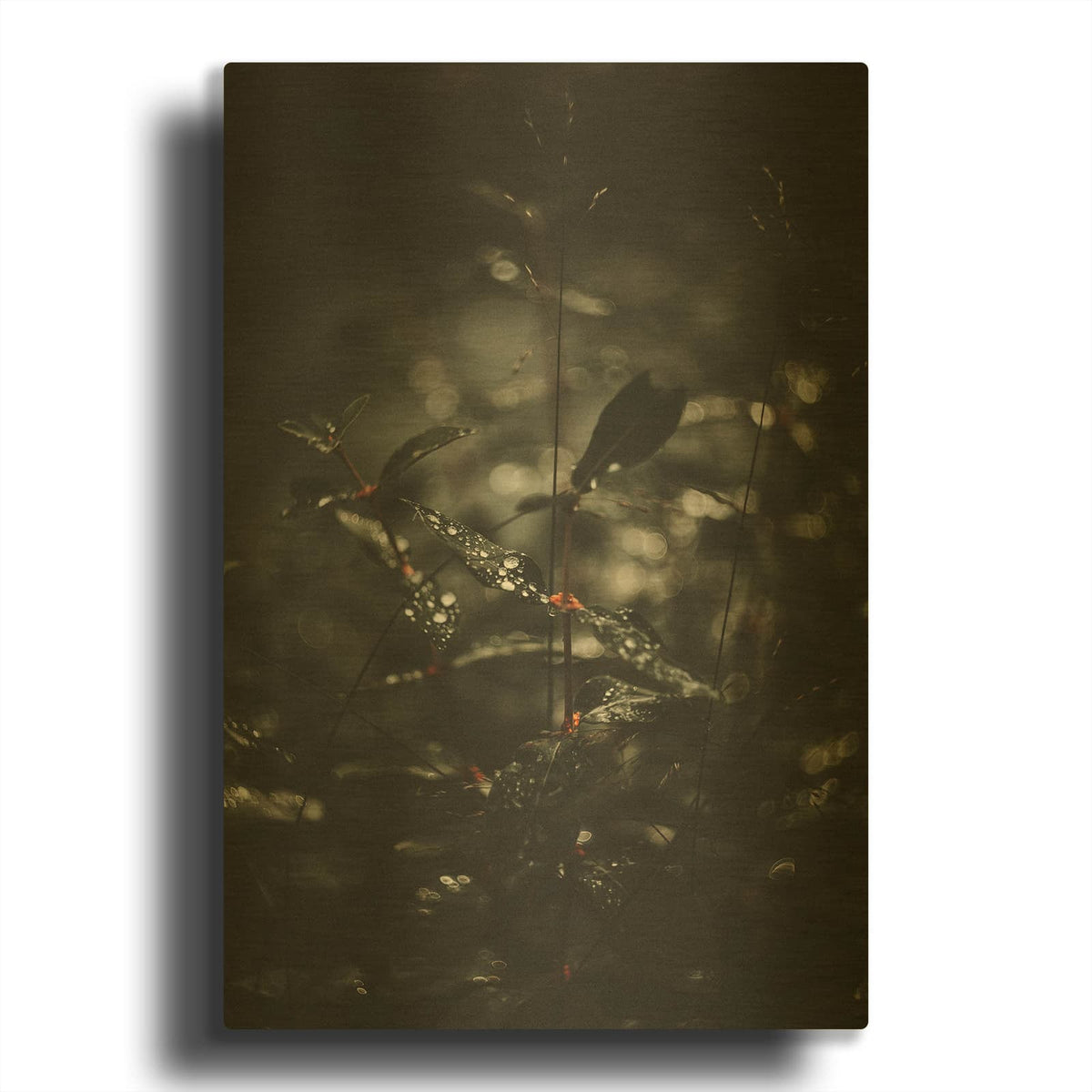 'Secret 7' By Design Fabrikken Gold Metal Wall Art