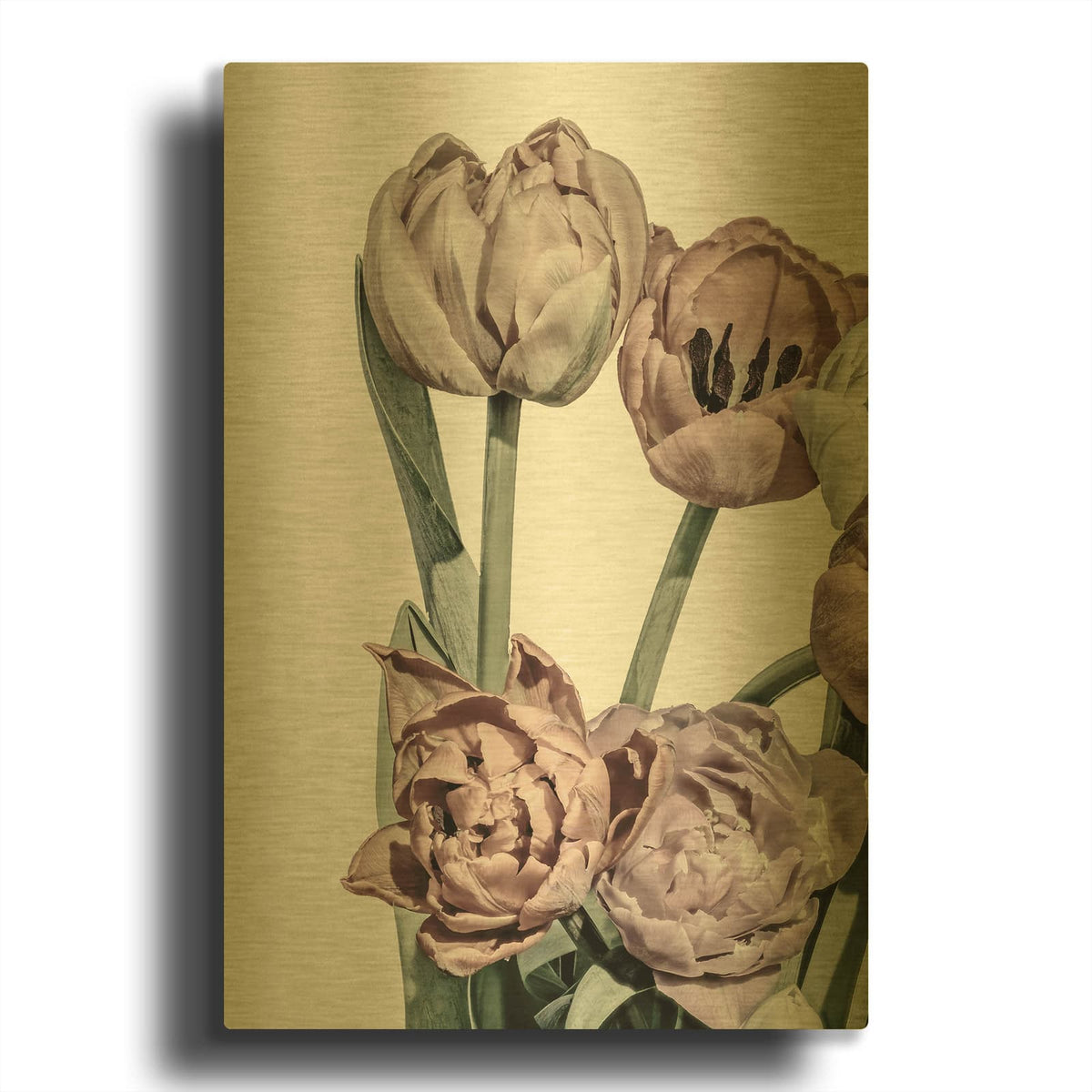 'Tulips Bright 2 MF969-1113' By Design Fabrikken Gold Metal Wall Art