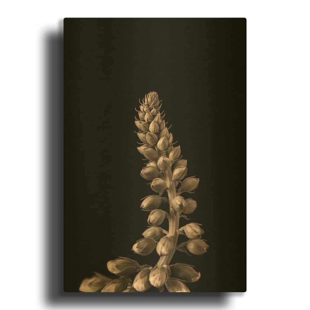 'Upwards 2 MF969-1234' By Design Fabrikken Gold Metal Wall Art