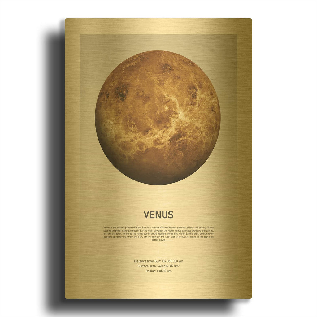 'Venus Light MF969-1924' By Design Fabrikken Gold Metal Wall Art