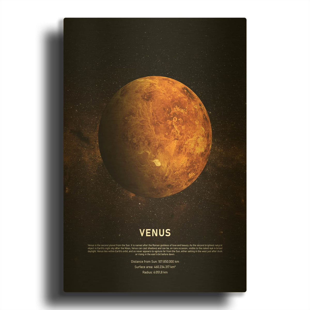 'Venus MF969-1929' By Design Fabrikken Gold Metal Wall Art