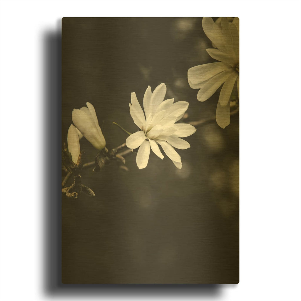 'White Flowers MF969-1235' By Design Fabrikken Gold Metal Wall Art