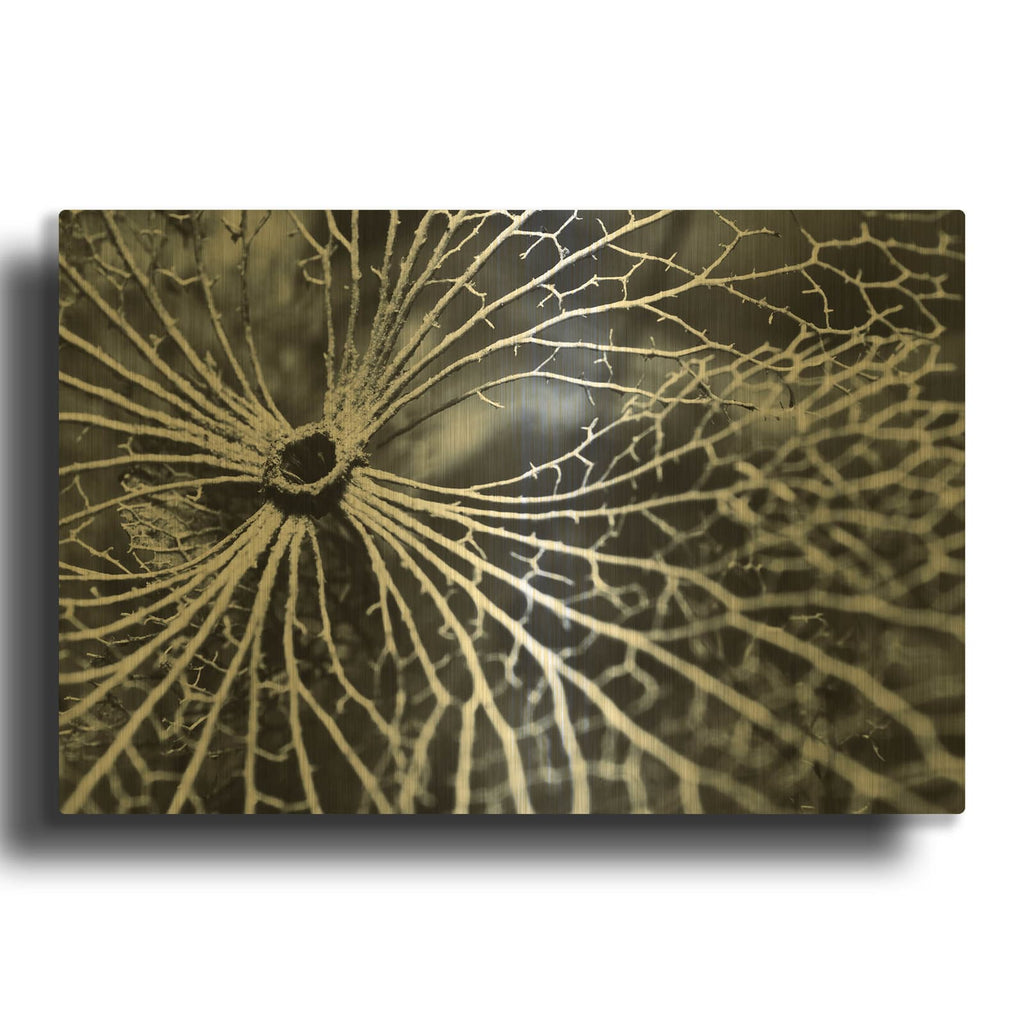'Winterspell MF969-1076' By Design Fabrikken Gold Metal Wall Art