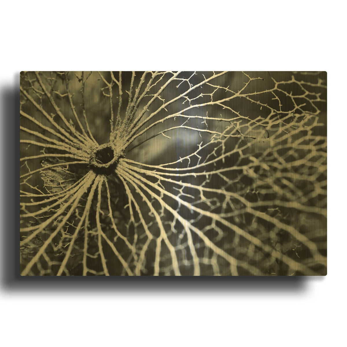 'Winterspell MF969-1076' By Design Fabrikken Gold Metal Wall Art