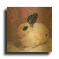 'The Sage' By Diane Hoeptner Gold Metal Wall Art