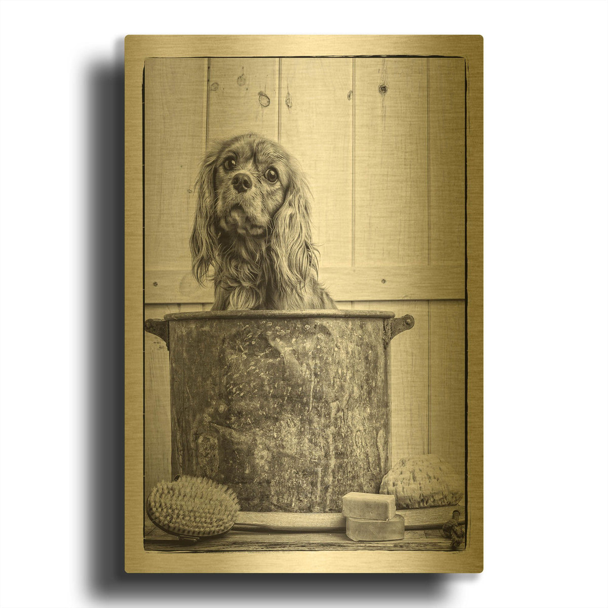 'Vintage Puppy Bath' By Edward M. Fielding Gold Metal Wall Art