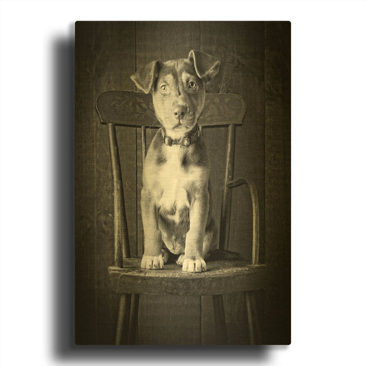 'Mutt Black & White' By Edward M. Fielding Gold Metal Wall Art
