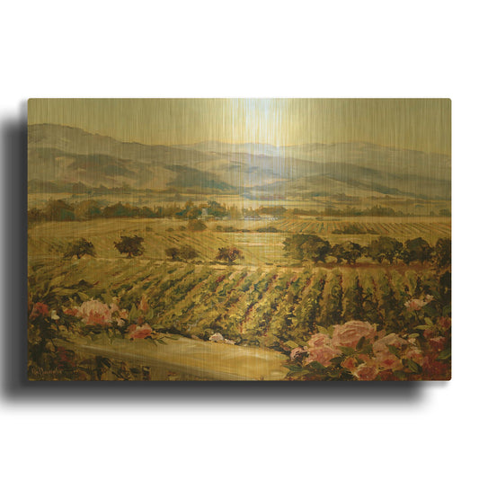 'Vineyards to Vaca Mountains' By Ellie Freudenstein Gold Metal Wall Art