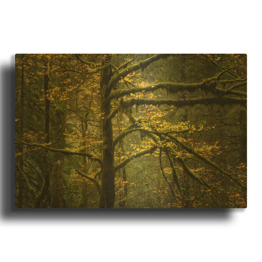 'Golden Drops' By Enrico Fossati Gold Metal Wall Art