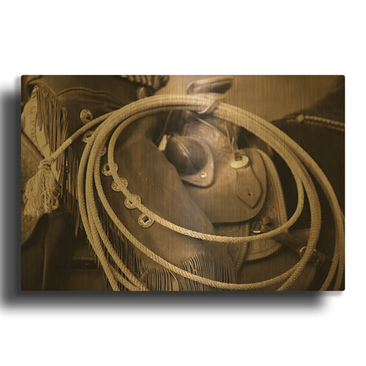 'Cowgirls Lasso' By Lisa Dearing Gold Metal Wall Art