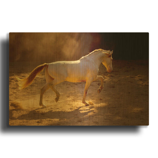 'Dancing In The Light' By Lisa Dearing Gold Metal Wall Art