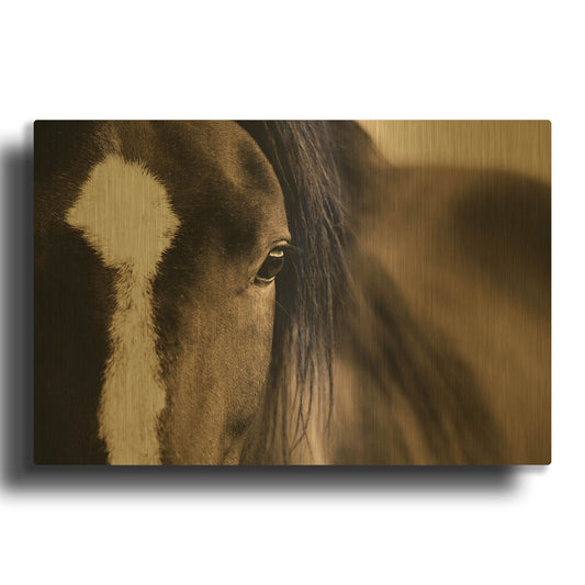 'Dark Eyes' By Lisa Dearing Gold Metal Wall Art