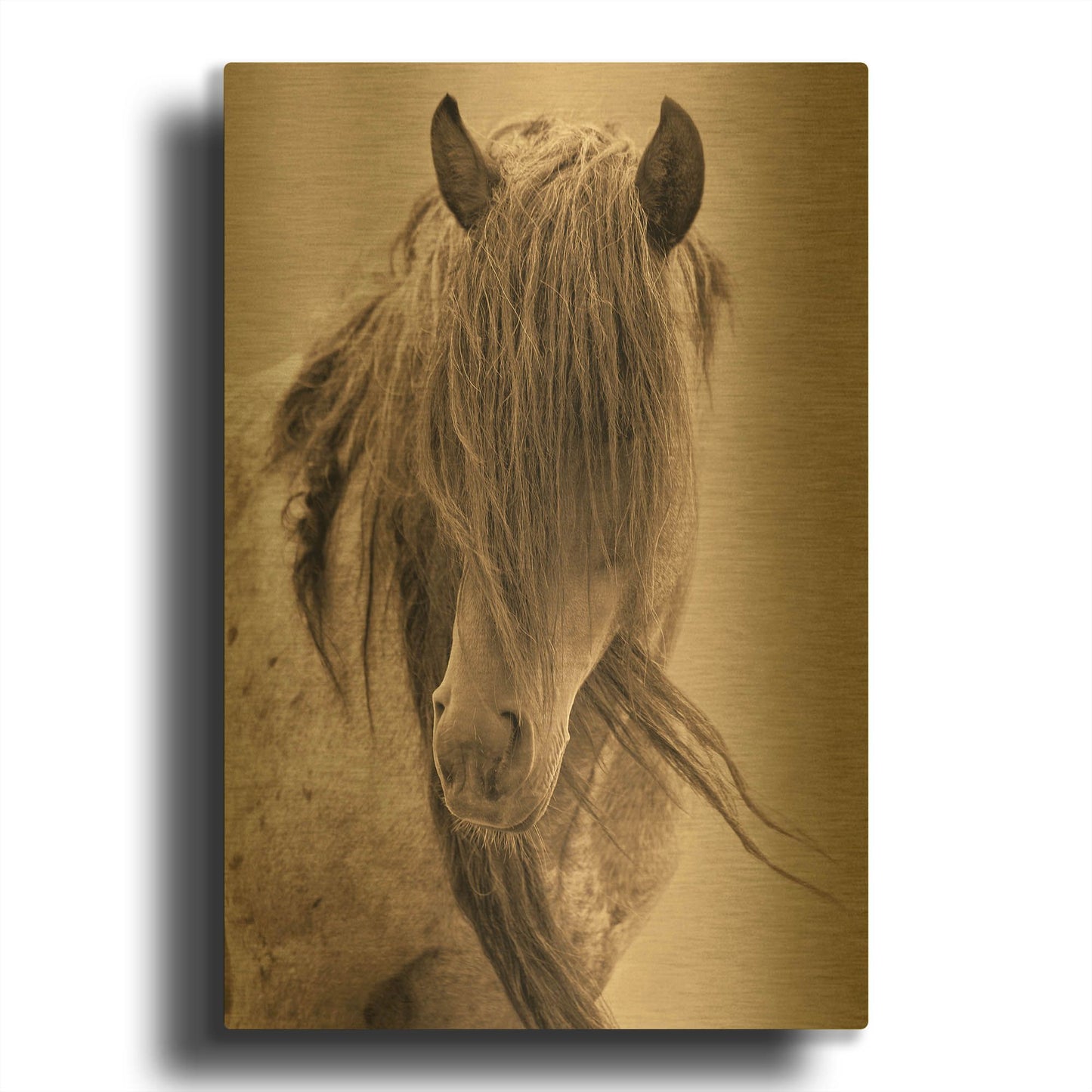 'Freedom' By Lisa Dearing Gold Metal Wall Art