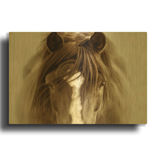 'Ghost Horse' By Lisa Dearing Gold Metal Wall Art
