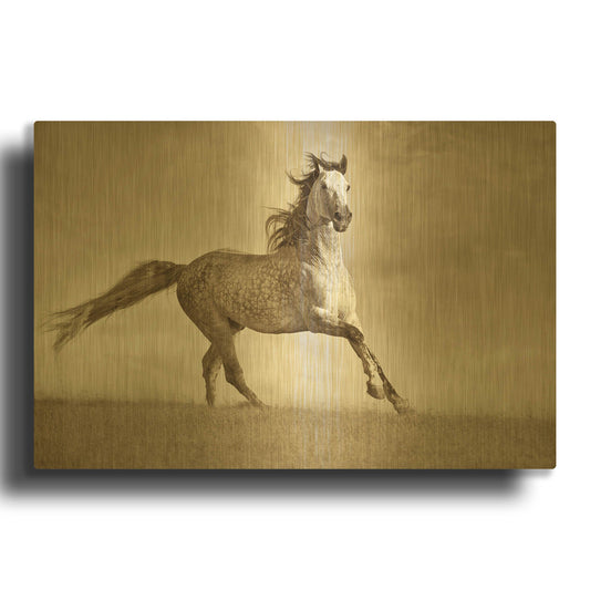'Like the Wind' By Lisa Dearing Gold Metal Wall Art