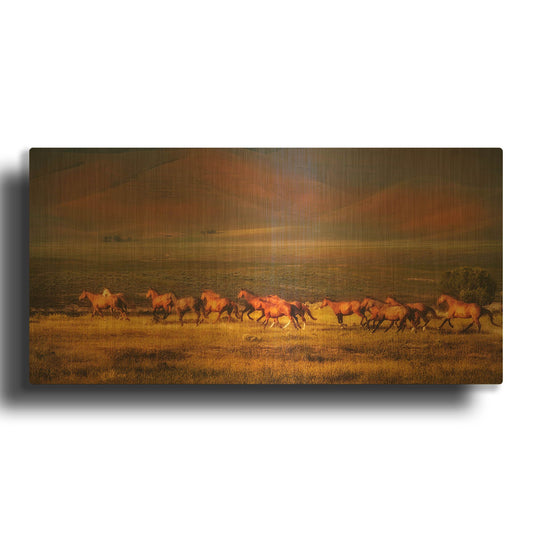 'Montana Dreaming' By Lisa Dearing Gold Metal Wall Art