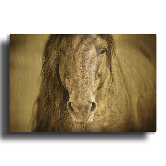 'Mustang Sally' By Lisa Dearing Gold Metal Wall Art