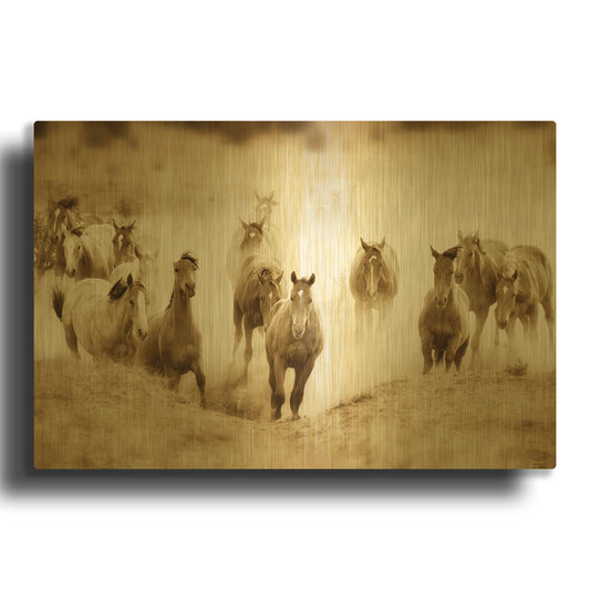 'San Cristobol Horses' By Lisa Dearing Gold Metal Wall Art