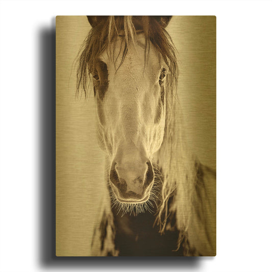 'Wilbur Cruz' By Lisa Dearing Gold Metal Wall Art