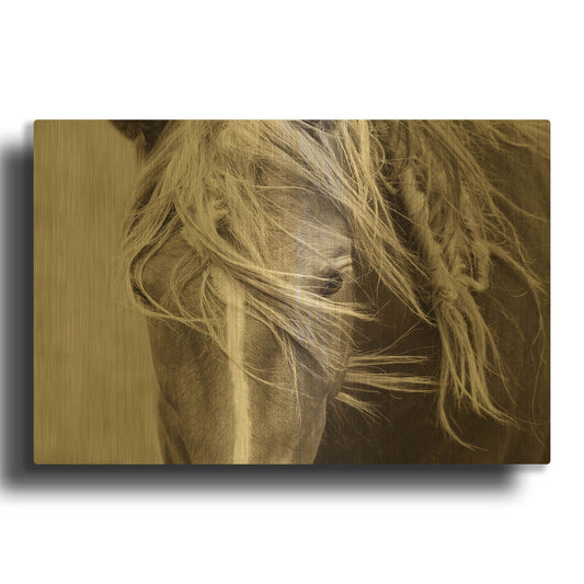 'Wind Knots' By Lisa Dearing Gold Metal Wall Art