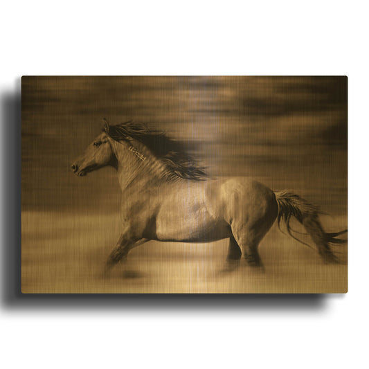 'Wind Runner' By Lisa Dearing Gold Metal Wall Art