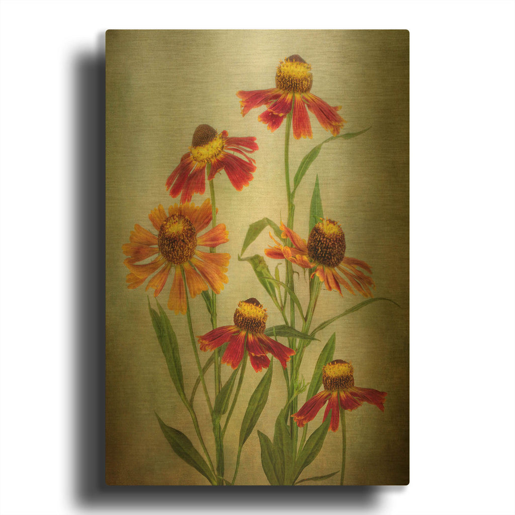 'Cabaret' By Mandy Disher Gold Metal Wall Art