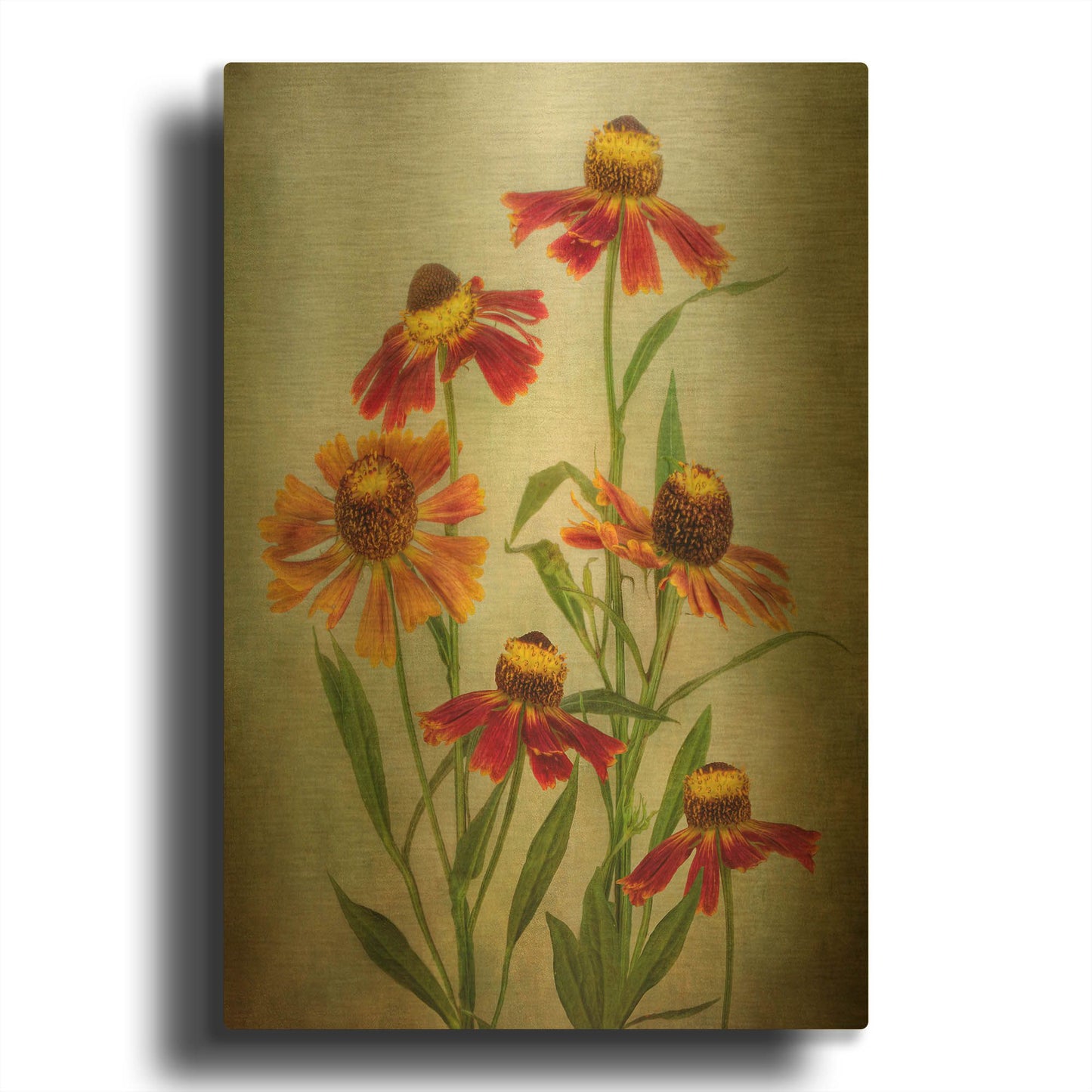 'Cabaret' By Mandy Disher Gold Metal Wall Art