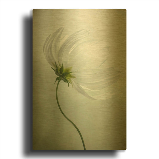 'Cosmos Charisma' By Mandy Disher Gold Metal Wall Art