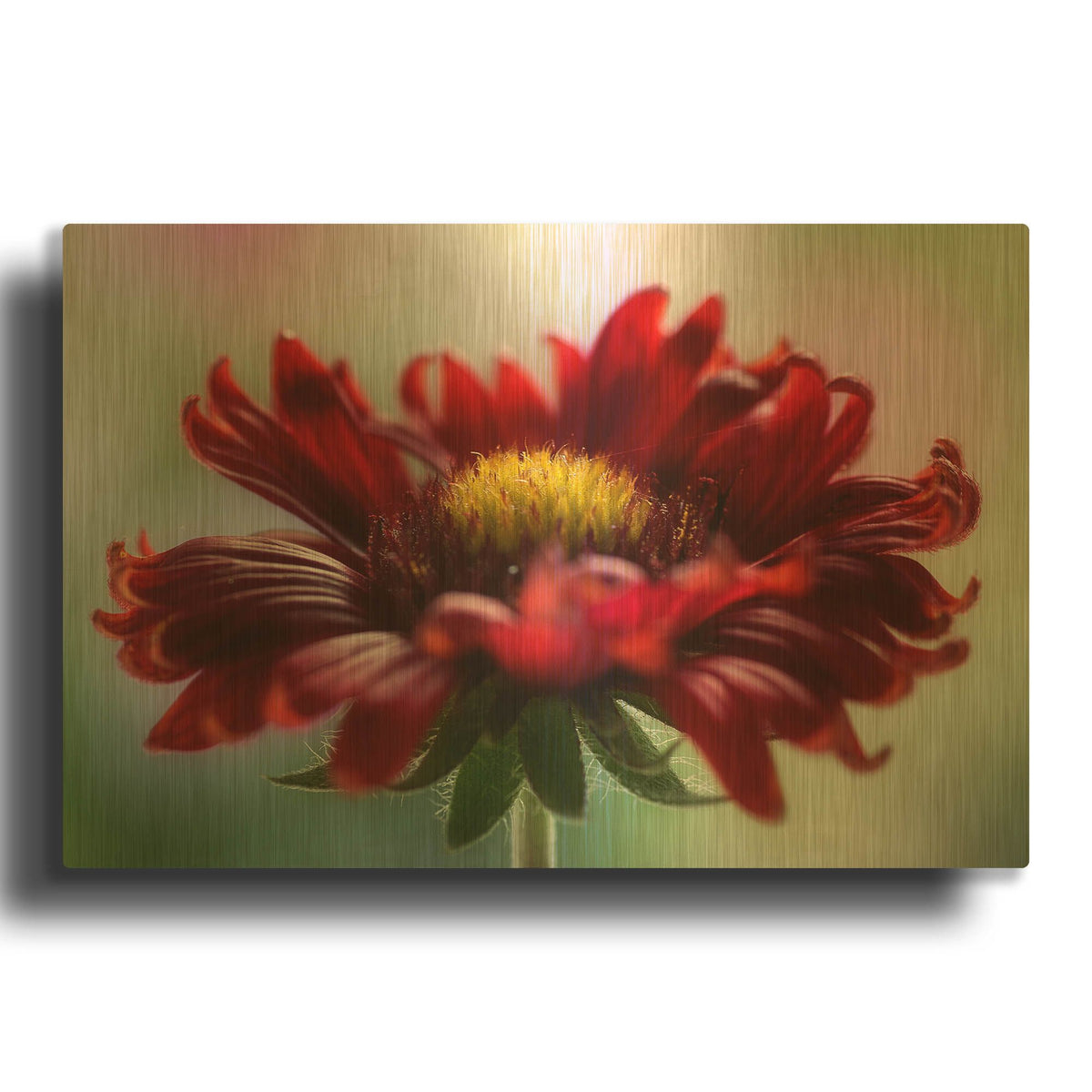 'Flame' By Mandy Disher Gold Metal Wall Art
