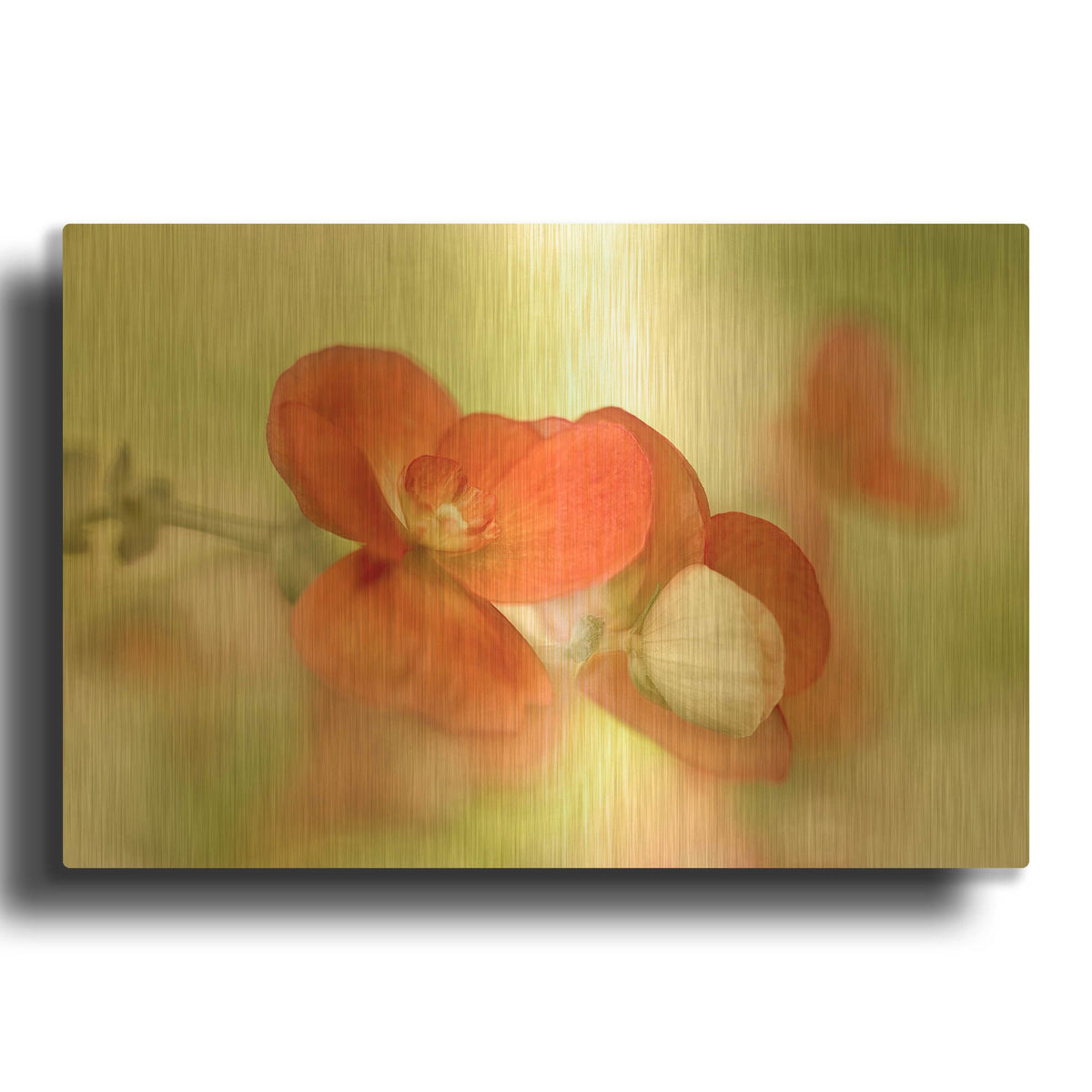'Summer Glow' By Mandy Disher Gold Metal Wall Art