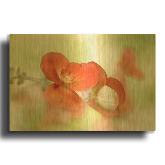 'Summer Glow' By Mandy Disher Gold Metal Wall Art