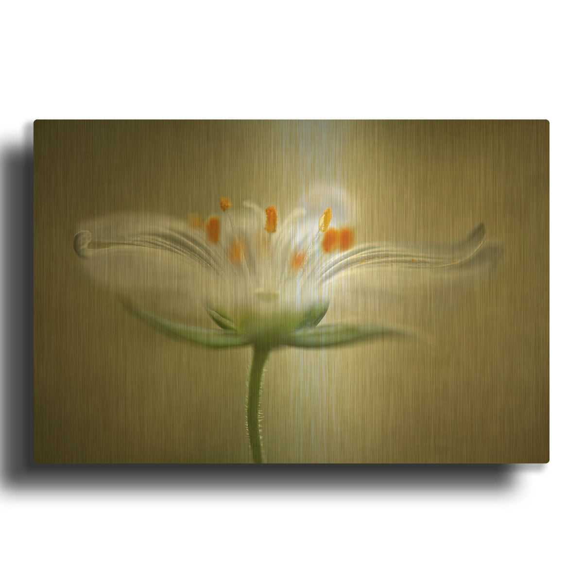 'Summer Swirl' By Mandy Disher Gold Metal Wall Art