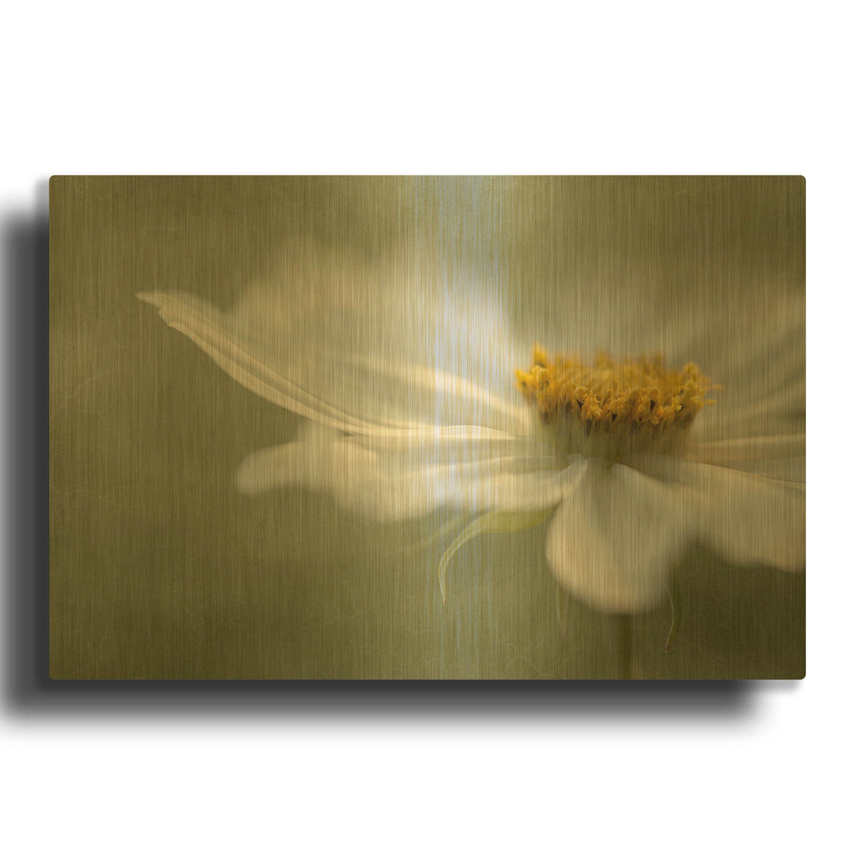 'Whisper' By Mandy Disher Gold Metal Wall Art